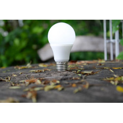 Led rasveta